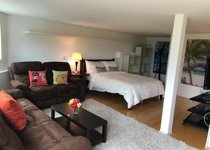 One Bedroom Suite Near Hillside Mall